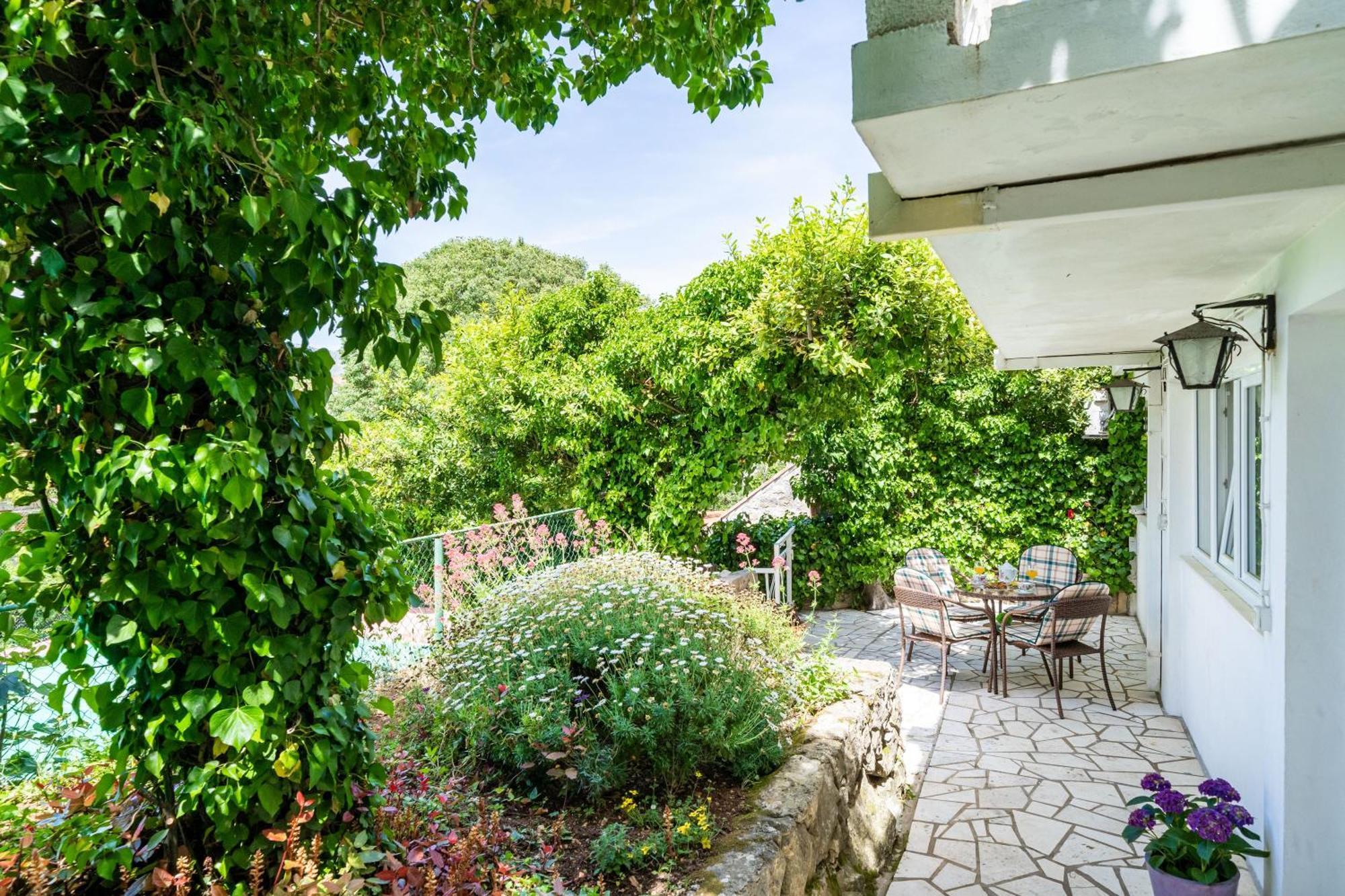 Apartments & Rooms Mara & Petrunjela Cavtat Δωμάτιο φωτογραφία