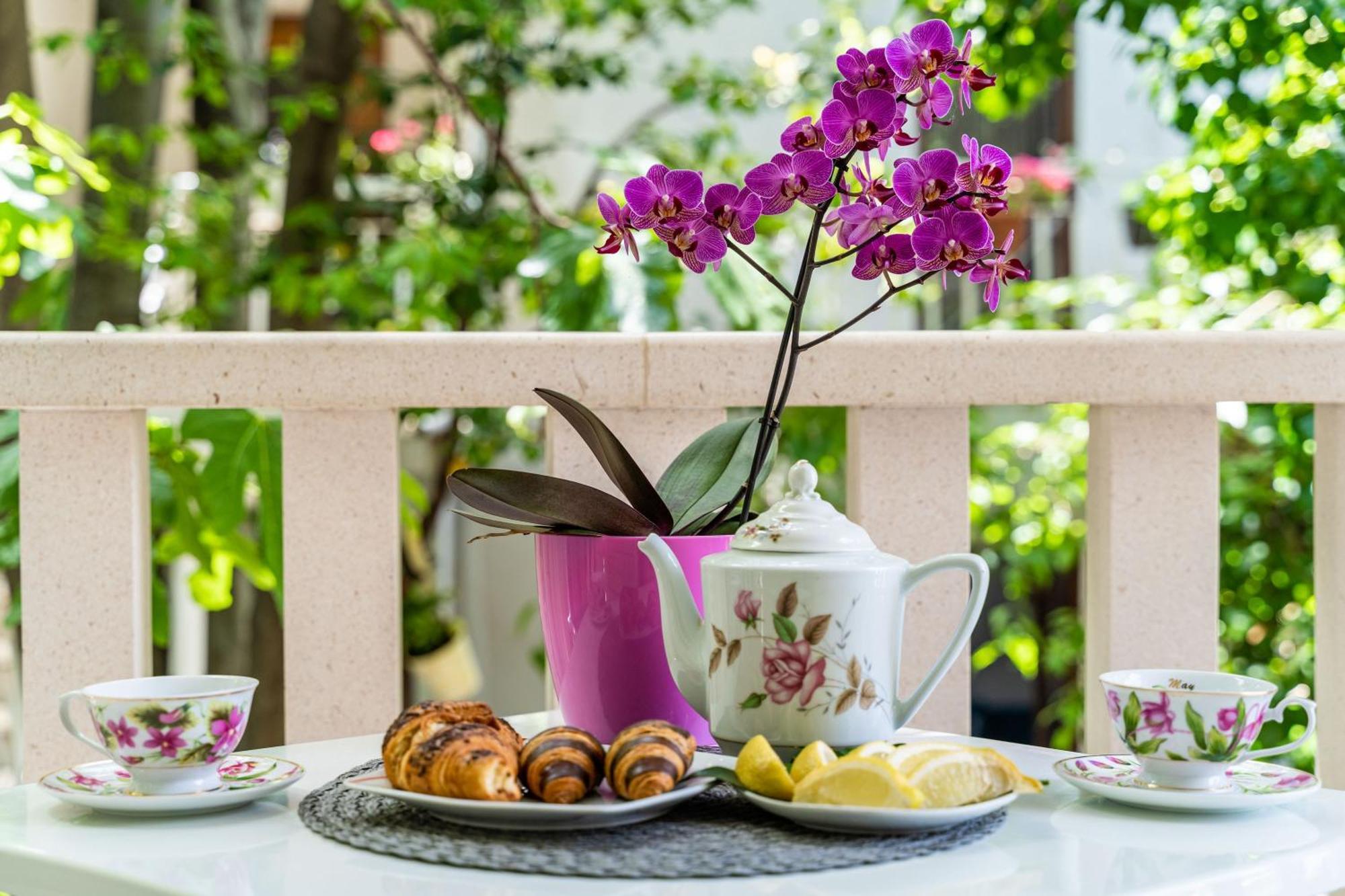 Apartments & Rooms Mara & Petrunjela Cavtat Δωμάτιο φωτογραφία